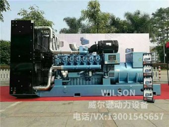 濰柴博杜安1200kw柴油發電機組